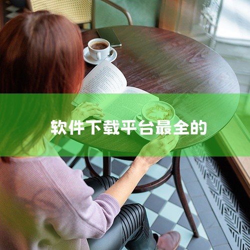 太平洋下载中心：国内领先的综合下载平台，涵盖软件、驱动、游戏、素材等资源。经过12年积累，已成为太平洋电脑网访问量最大的栏目之一，以优质、便捷、安全的下载服务著称。多多软件站与樊菲软件站：提供丰富的软|