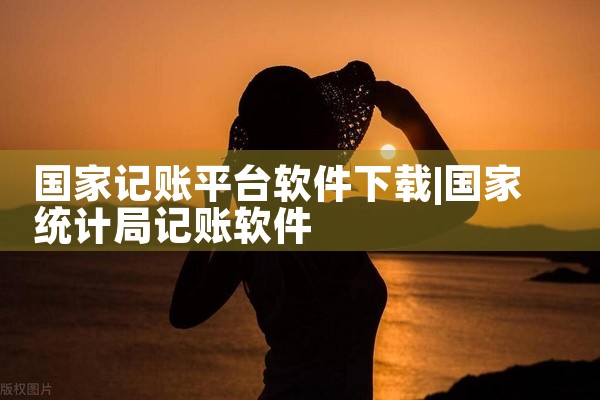 国家记账平台软件下载