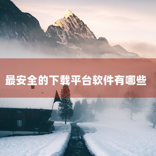 360软件管家：拥有海量软件库，提供一键安装、卸载、升级服务，并内置安全检测模块，可拦截恶意程序。华军软件园：国内老牌下载站，软件分类细致，更新及时，提供安装教程和电脑技巧辅助。高效便捷型 Ninit,