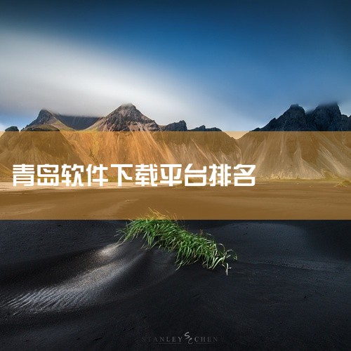 一、海尔软件。海尔软件是海尔集团旗下的重要子公司之一，致力于软件技术研发和应用，涵盖了智能家居、云计算、大数据等多个领域。在青岛市享有较高的知名度。二、海信软件。海信软件是海信集团的信息技术研发中心，,