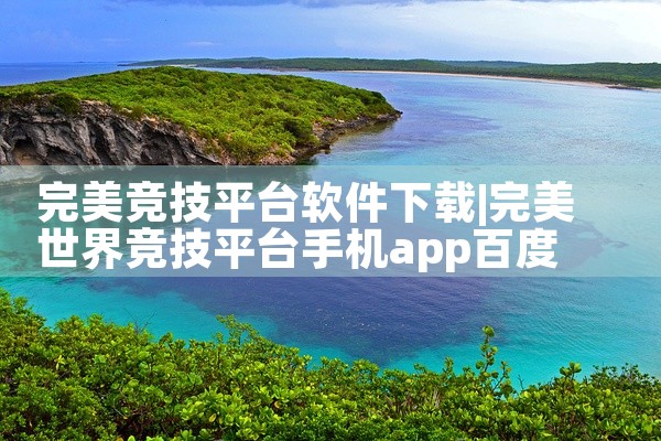 完美竞技平台软件下载