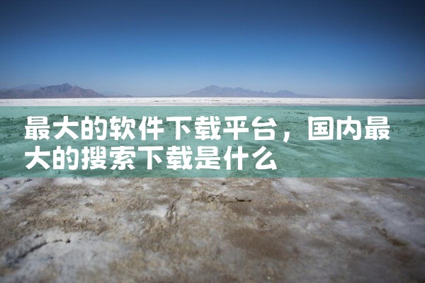 最大的软件下载平台