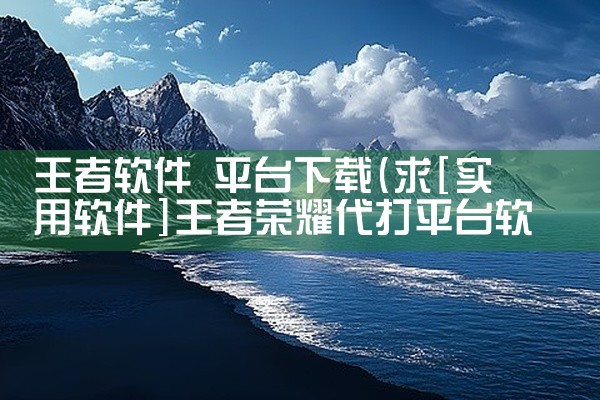 王者软件 平台下载