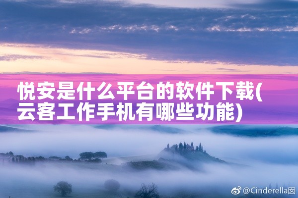 悦安是什么平台的软件下载