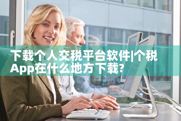 下载个人交税平台软件